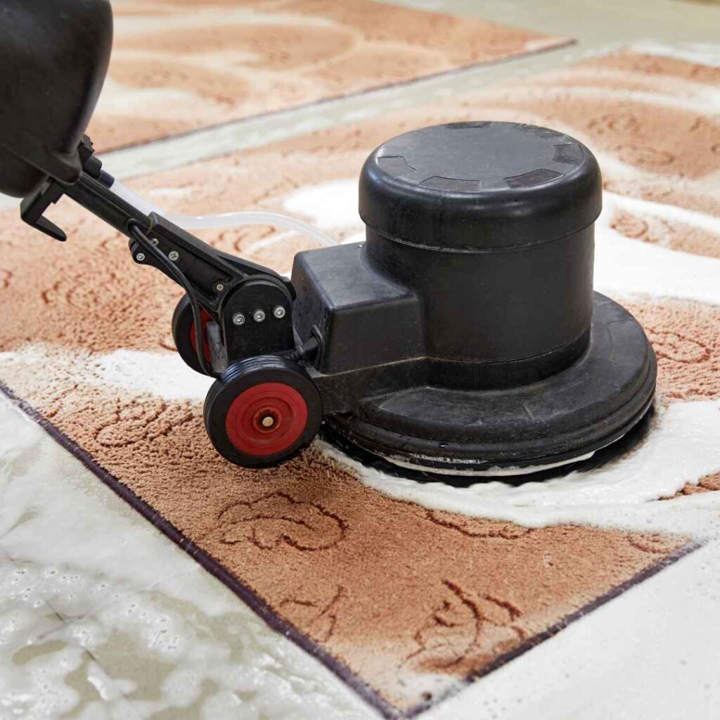 A carpet-cleaning machine working foam into a rug